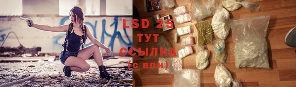 сатива Осинники