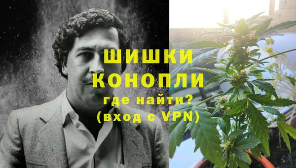 сатива Осинники