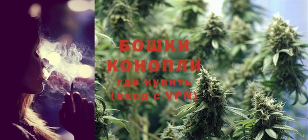 сатива Осинники