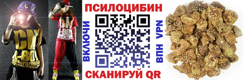 купить наркотики цена  блэк спрут зеркало  Галлюциногенные грибы мухоморы  Алдан 